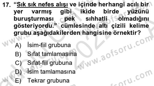 Türkçe Cümle Bilgisi 1 Dersi 2022 - 2023 Yılı (Vize) Ara Sınav Soruları 17. Soru