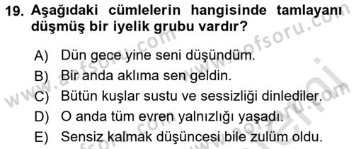 Türkçe Cümle Bilgisi 1 Dersi 2022 - 2023 Yılı (Vize) Ara Sınav Soruları 19. Soru