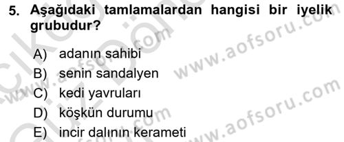 Türkçe Cümle Bilgisi 1 Dersi 2022 - 2023 Yılı (Vize) Ara Sınav Soruları 5. Soru