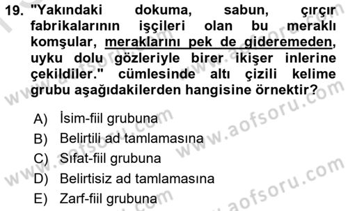 Türkçe Cümle Bilgisi 1 Dersi 2022 - 2023 Yılı (Final) Dönem Sonu Sınav Soruları 19. Soru
