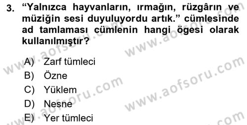 Türkçe Cümle Bilgisi 1 Dersi 2022 - 2023 Yılı (Final) Dönem Sonu Sınav Soruları 3. Soru