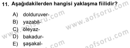 Türkçe Cümle Bilgisi 1 Dersi 2022 - 2023 Yılı Yaz Okulu Sınav Soruları 11. Soru