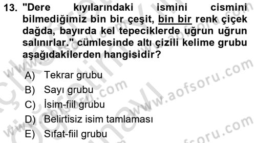 Türkçe Cümle Bilgisi 1 Dersi 2022 - 2023 Yılı Yaz Okulu Sınav Soruları 13. Soru