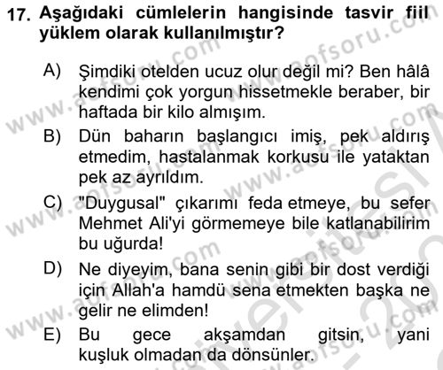 Türkçe Cümle Bilgisi 1 Dersi 2022 - 2023 Yılı Yaz Okulu Sınav Soruları 17. Soru