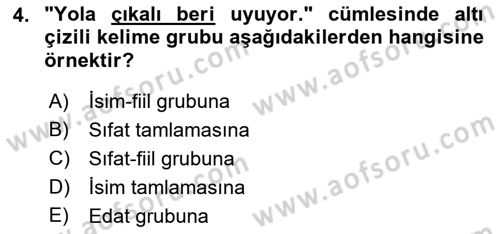 Türkçe Cümle Bilgisi 1 Dersi 2022 - 2023 Yılı Yaz Okulu Sınav Soruları 4. Soru