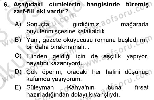 Türkçe Cümle Bilgisi 1 Dersi 2022 - 2023 Yılı Yaz Okulu Sınav Soruları 6. Soru