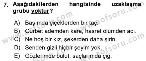 Türkçe Cümle Bilgisi 1 Dersi 2022 - 2023 Yılı Yaz Okulu Sınav Soruları 7. Soru