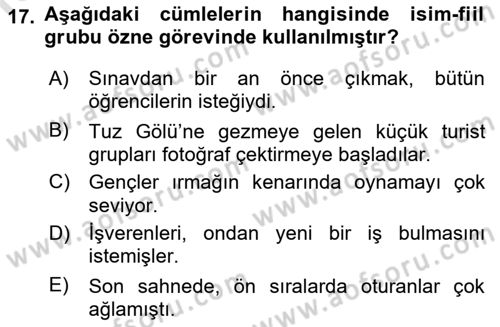 Türkçe Cümle Bilgisi 1 Dersi 2023 - 2024 Yılı (Vize) Ara Sınav Soruları 17. Soru