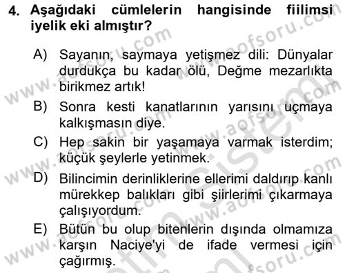 Türkçe Cümle Bilgisi 1 Dersi 2023 - 2024 Yılı (Vize) Ara Sınav Soruları 4. Soru
