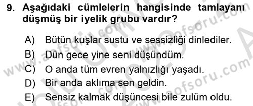 Türkçe Cümle Bilgisi 1 Dersi 2023 - 2024 Yılı (Vize) Ara Sınav Soruları 9. Soru