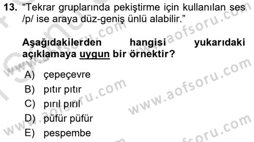 Türkçe Cümle Bilgisi 1 Dersi 2023 - 2024 Yılı (Final) Dönem Sonu Sınav Soruları 13. Soru
