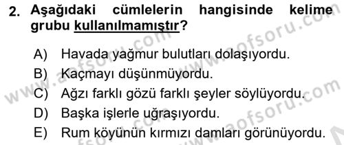 Türkçe Cümle Bilgisi 1 Dersi 2023 - 2024 Yılı (Final) Dönem Sonu Sınav Soruları 2. Soru