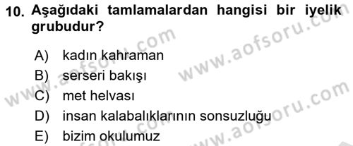 Türkçe Cümle Bilgisi 1 Dersi 2023 - 2024 Yılı Yaz Okulu Sınav Soruları 10. Soru