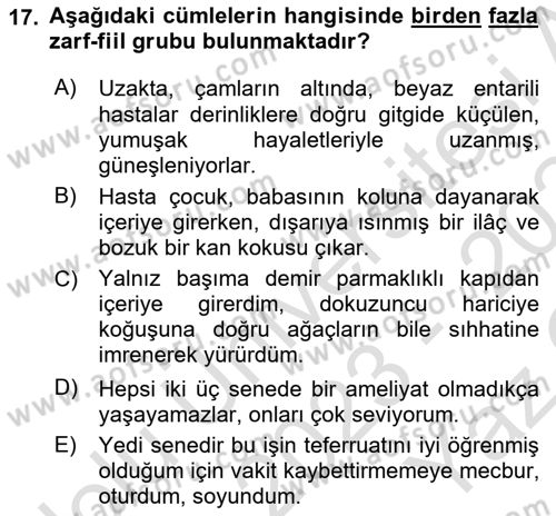 Türkçe Cümle Bilgisi 1 Dersi 2023 - 2024 Yılı Yaz Okulu Sınav Soruları 17. Soru