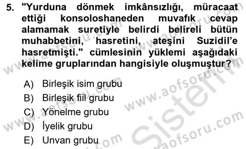 Türkçe Cümle Bilgisi 1 Dersi 2023 - 2024 Yılı Yaz Okulu Sınav Soruları 5. Soru