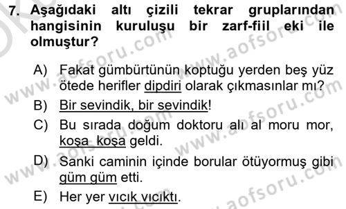 Türkçe Cümle Bilgisi 1 Dersi 2023 - 2024 Yılı Yaz Okulu Sınav Soruları 7. Soru