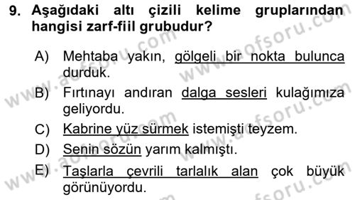 Türkçe Cümle Bilgisi 1 Dersi 2023 - 2024 Yılı Yaz Okulu Sınav Soruları 9. Soru