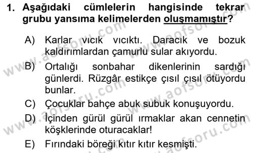 Türkçe Cümle Bilgisi 1 Dersi 2024 - 2025 Yılı (Vize) Ara Sınav Soruları 1. Soru