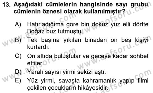 Türkçe Cümle Bilgisi 1 Dersi 2024 - 2025 Yılı (Vize) Ara Sınav Soruları 13. Soru