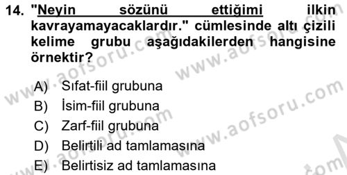 Türkçe Cümle Bilgisi 1 Dersi 2024 - 2025 Yılı (Vize) Ara Sınav Soruları 14. Soru