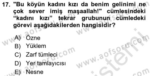 Türkçe Cümle Bilgisi 1 Dersi 2024 - 2025 Yılı (Vize) Ara Sınav Soruları 17. Soru