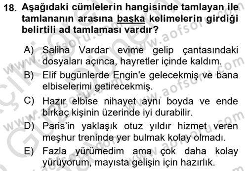 Türkçe Cümle Bilgisi 1 Dersi 2024 - 2025 Yılı (Vize) Ara Sınav Soruları 18. Soru