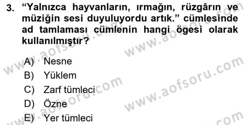Türkçe Cümle Bilgisi 1 Dersi 2024 - 2025 Yılı (Vize) Ara Sınav Soruları 3. Soru