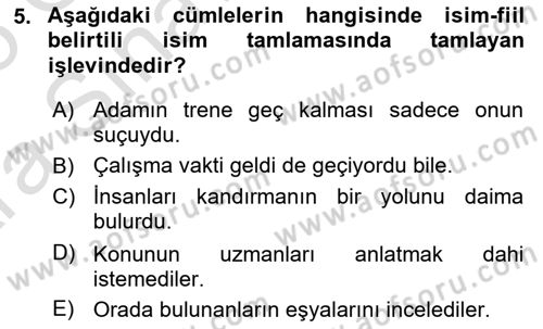 Türkçe Cümle Bilgisi 1 Dersi 2024 - 2025 Yılı (Vize) Ara Sınav Soruları 5. Soru
