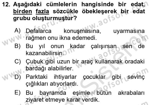Türkçe Cümle Bilgisi 1 Dersi 2024 - 2025 Yılı (Final) Dönem Sonu Sınav Soruları 12. Soru