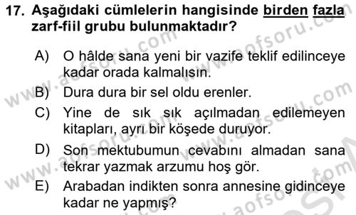Türkçe Cümle Bilgisi 1 Dersi 2024 - 2025 Yılı (Final) Dönem Sonu Sınav Soruları 17. Soru