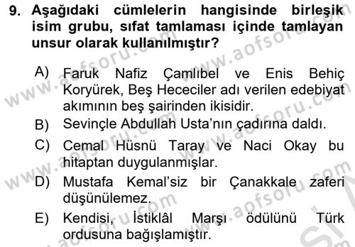 Türkçe Cümle Bilgisi 1 Dersi 2024 - 2025 Yılı (Final) Dönem Sonu Sınav Soruları 9. Soru