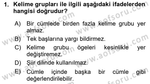 Türkçe Cümle Bilgisi 1 Dersi 2024 - 2025 Yılı Yaz Okulu Sınav Soruları 1. Soru