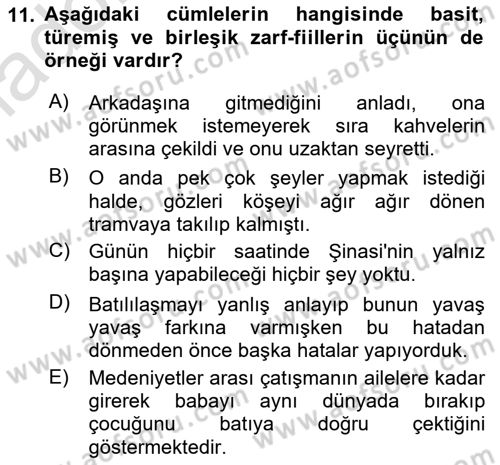 Türkçe Cümle Bilgisi 1 Dersi 2024 - 2025 Yılı Yaz Okulu Sınav Soruları 11. Soru