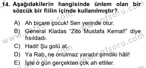 Türkçe Cümle Bilgisi 1 Dersi 2024 - 2025 Yılı Yaz Okulu Sınav Soruları 14. Soru