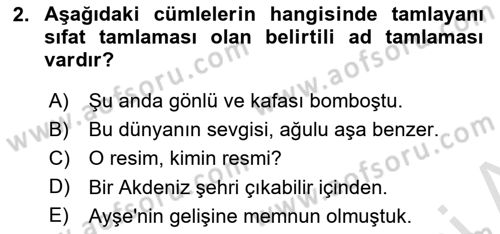 Türkçe Cümle Bilgisi 1 Dersi 2024 - 2025 Yılı Yaz Okulu Sınav Soruları 2. Soru