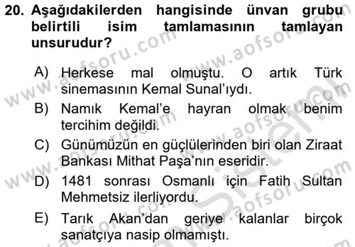 Türkçe Cümle Bilgisi 1 Dersi 2024 - 2025 Yılı Yaz Okulu Sınav Soruları 20. Soru
