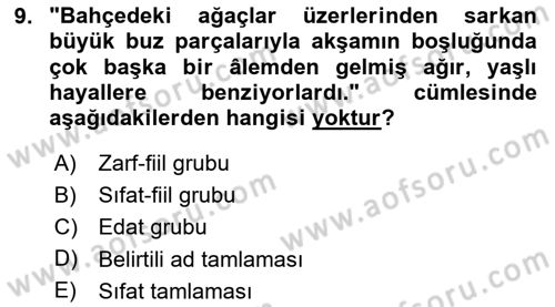 Türkçe Cümle Bilgisi 1 Dersi 2024 - 2025 Yılı Yaz Okulu Sınav Soruları 9. Soru