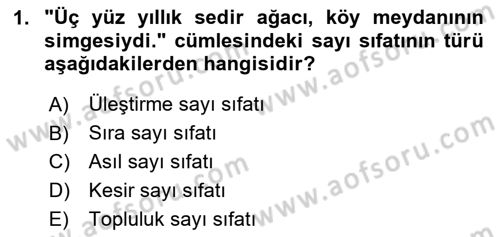 Türkçe Cümle Bilgisi 1 Dersi 2025 - 2026 Yılı (Vize) Ara Sınav Soruları 1. Soru