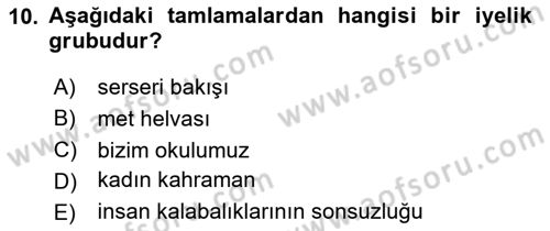 Türkçe Cümle Bilgisi 1 Dersi 2025 - 2026 Yılı (Vize) Ara Sınav Soruları 10. Soru