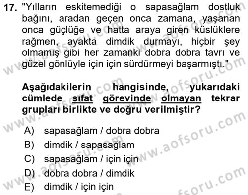 Türkçe Cümle Bilgisi 1 Dersi 2025 - 2026 Yılı (Vize) Ara Sınav Soruları 17. Soru