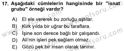 Türkçe Cümle Bilgisi 1 Dersi 2025 - 2026 Yılı (Final) Dönem Sonu Sınav Soruları 17. Soru