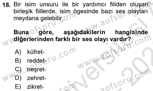 Türkçe Cümle Bilgisi 1 Dersi 2025 - 2026 Yılı (Final) Dönem Sonu Sınav Soruları 18. Soru