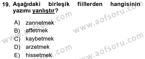 Türkçe Cümle Bilgisi 1 Dersi 2025 - 2026 Yılı (Final) Dönem Sonu Sınav Soruları 19. Soru