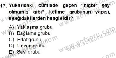 Türkçe Cümle Bilgisi 2 Dersi 2014 - 2015 Yılı (Final) Dönem Sonu Sınav Soruları 17. Soru