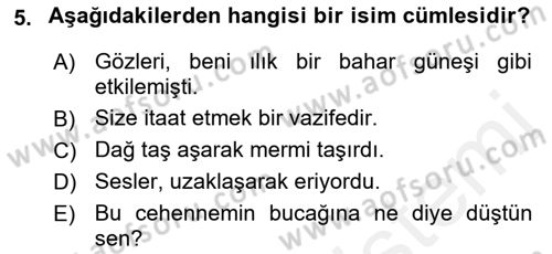 Türkçe Cümle Bilgisi 2 Dersi 2015 - 2016 Yılı (Vize) Ara Sınav Soruları 5. Soru