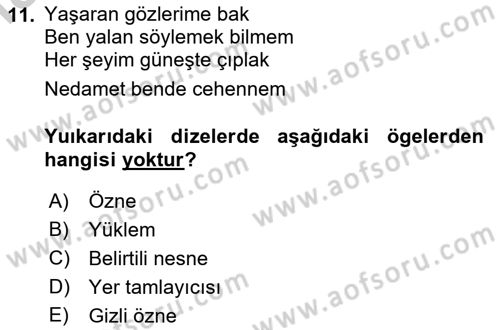 Türkçe Cümle Bilgisi 2 Dersi 2016 - 2017 Yılı (Vize) Ara Sınavı 11. Soru