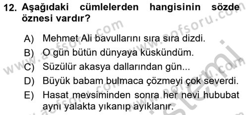 Türkçe Cümle Bilgisi 2 Dersi 2016 - 2017 Yılı (Vize) Ara Sınavı 12. Soru