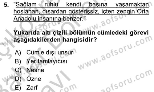 Türkçe Cümle Bilgisi 2 Dersi 2016 - 2017 Yılı (Vize) Ara Sınavı 5. Soru