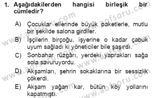 Türkçe Cümle Bilgisi 2 Dersi 2016 - 2017 Yılı (Final) Dönem Sonu Sınav Soruları 1. Soru