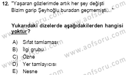 Türkçe Cümle Bilgisi 2 Dersi 2016 - 2017 Yılı (Final) Dönem Sonu Sınav Soruları 12. Soru